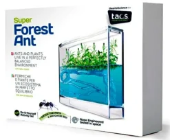 Clearance Myreakvarium med planter