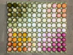 Sale ökoNORM Naturlig farve til æg - 5 farver