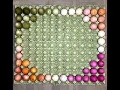 Sale ökoNORM Naturlig farve til æg - 5 farver