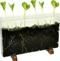 Hot Observationskasse - Orme/Rødder