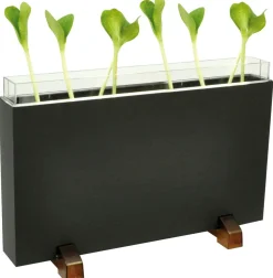 Hot Observationskasse - Orme/Rødder