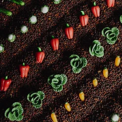 Opdagelsesflaske - Grøntsager