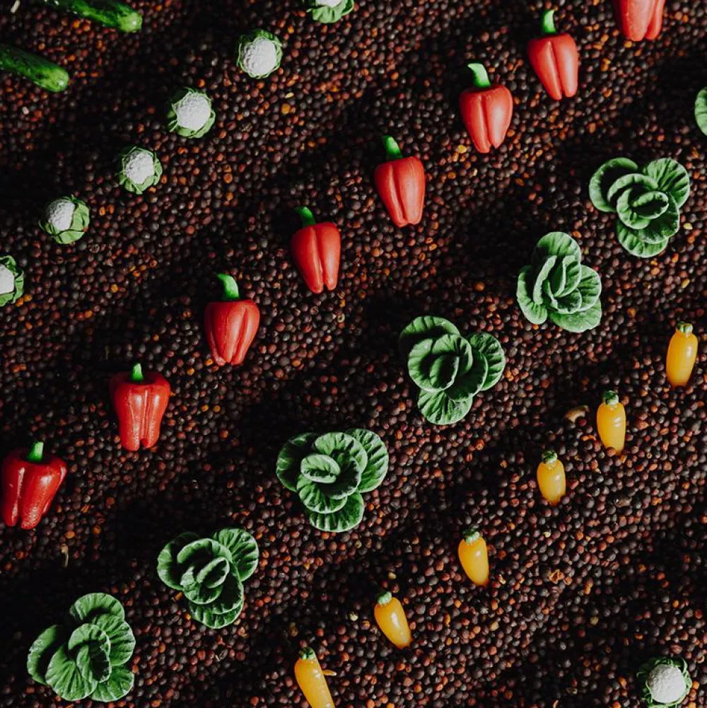 Opdagelsesflaske - Grøntsager