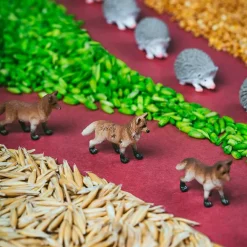 Outlet Opdagelsesflaske - Skovliv