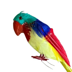 Sale Papegøje - H: 20 cm