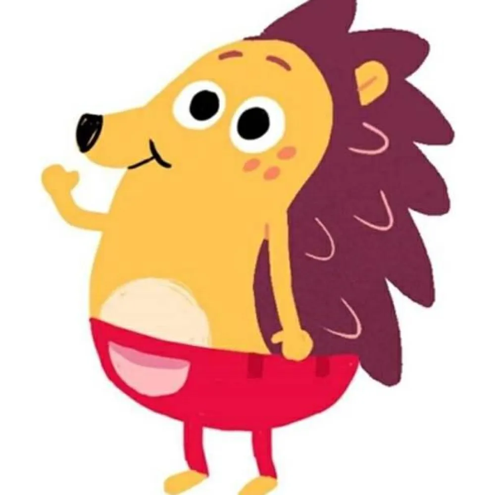 Best DR / Danmarks Radio Pindsvinet Børste, 25 cm