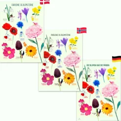 Best Ciha Plakat 50 x 70 cm - Farverne og blomsterne