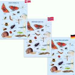 Outlet Ciha Plakat 50 x 70 cm - Smådyr omkring dig