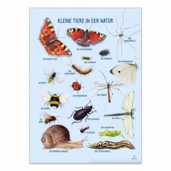 Outlet Ciha Plakat 50 x 70 cm - Smådyr omkring dig