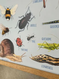 Outlet Ciha Plakat 50 x 70 cm - Smådyr omkring dig