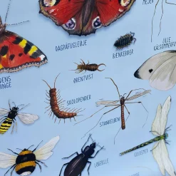 Outlet Ciha Plakat 50 x 70 cm - Smådyr omkring dig