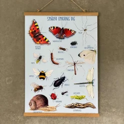 Outlet Ciha Plakat 50 x 70 cm - Smådyr omkring dig