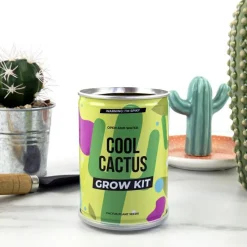 Discount Plant selv kit - Kaktus