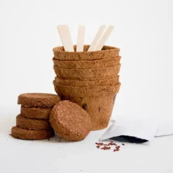 Discount Plant selv kit - Kødædende plante