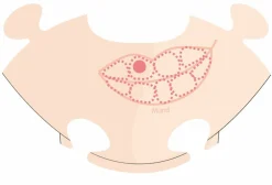 Hot PlayMais tilbehør - Anatomi puslespil