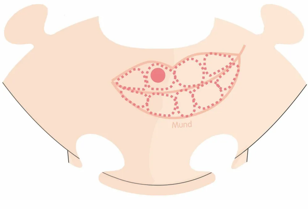 Hot PlayMais tilbehør - Anatomi puslespil