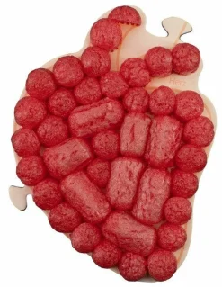 Hot PlayMais tilbehør - Anatomi puslespil