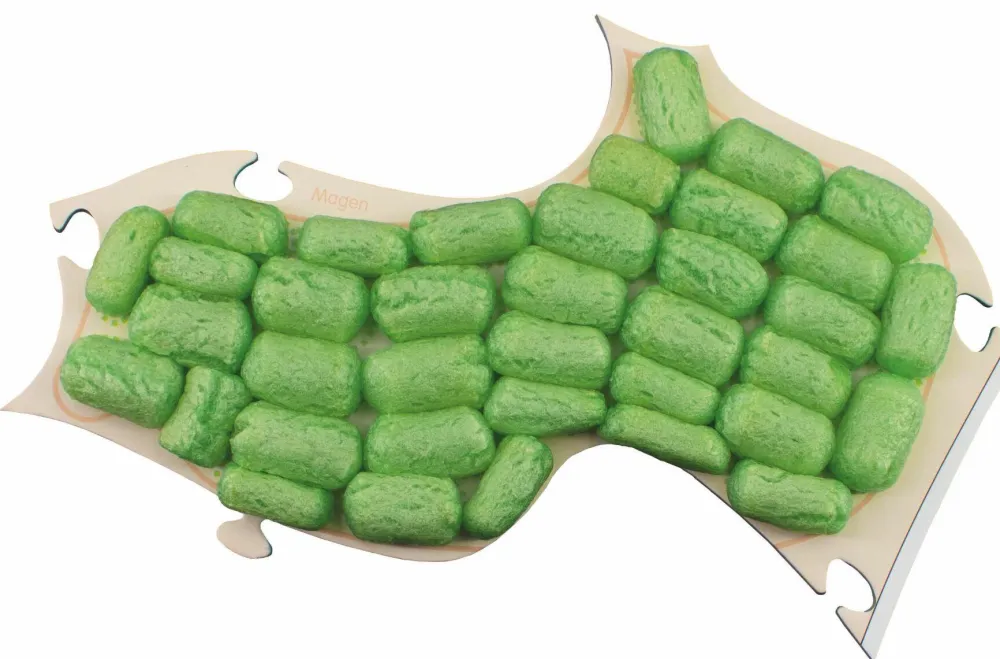 Hot PlayMais tilbehør - Anatomi puslespil