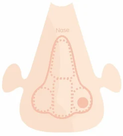 Hot PlayMais tilbehør - Anatomi puslespil