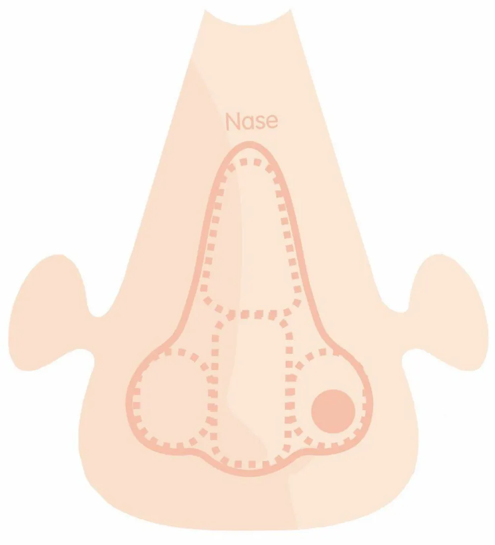 Hot PlayMais tilbehør - Anatomi puslespil