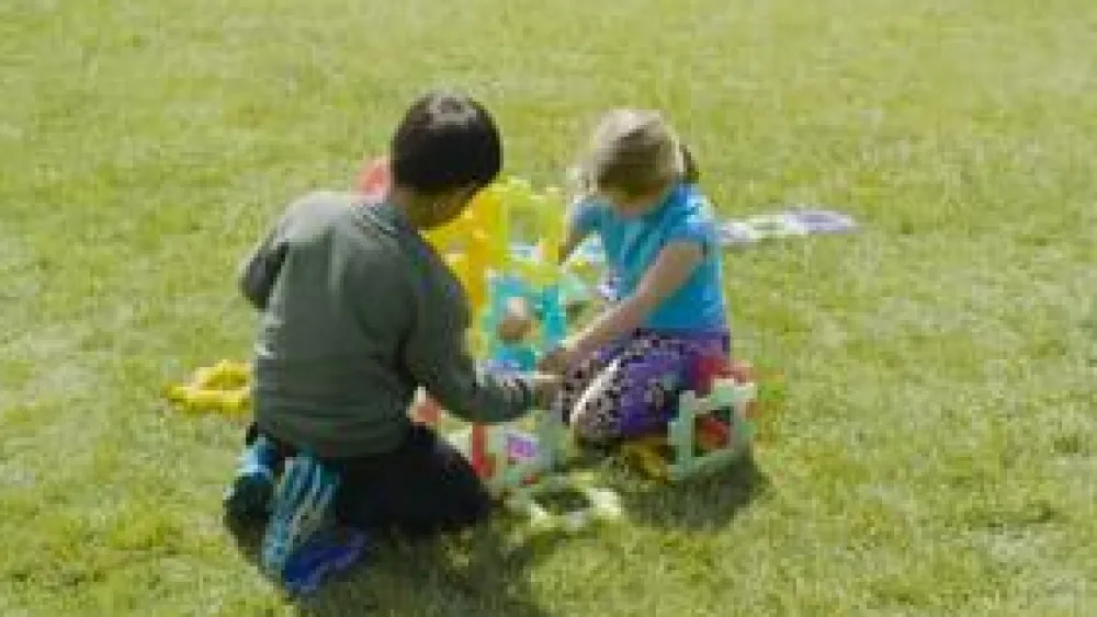 Online Polydron Large - Transparent, 60 dele