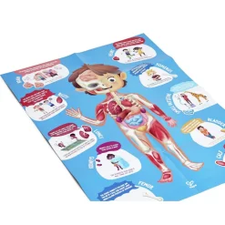 Online Hape Puslespil m. 50 brikker - Krop inkl. 3D-organer