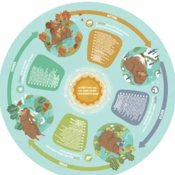 New Hape Puslespil m. 16 brikker - Årstiderne