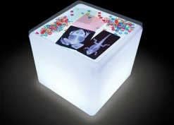 Hot Røntgenbilleder - Dyr, 14 stk