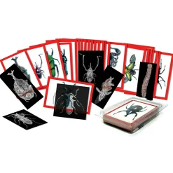 Sale Røntgenbilleder - Insekter, 36 stk