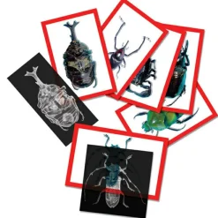 Sale Røntgenbilleder - Insekter, 36 stk