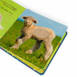 Clearance Forlaget Bolden Rør og føl - Søde dyr