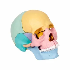 New Spiegelburg Samlesæt - Kranium, 17 dele