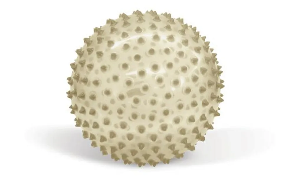 Discount edushape Sansebold - lyser i mørke