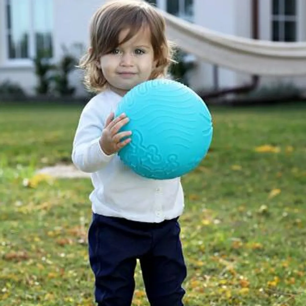 Hot edushape Sansebold m. teksturer