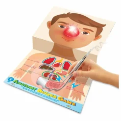 Sale 4M Sjov med elektriske kredsløb