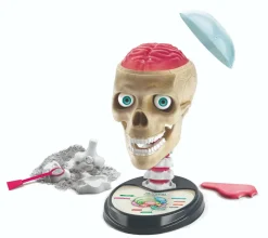 Best Clementoni Skør med anatomi