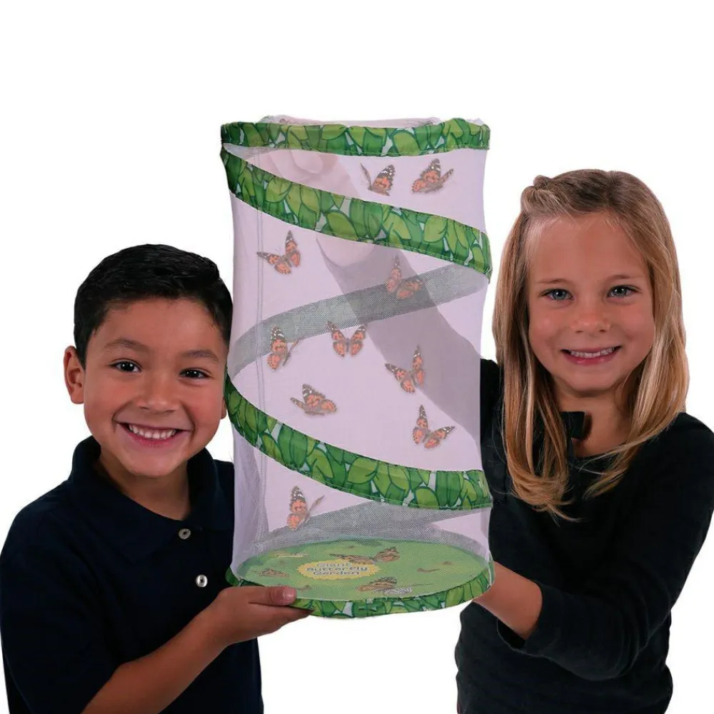 InsectLore Sommerfuglehave læringssæt m. 10 larver