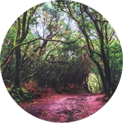 tickit® Sæt scenen Ø62,5 cm - I skoven