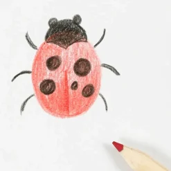 Discount Creativ Company Tegn insekter