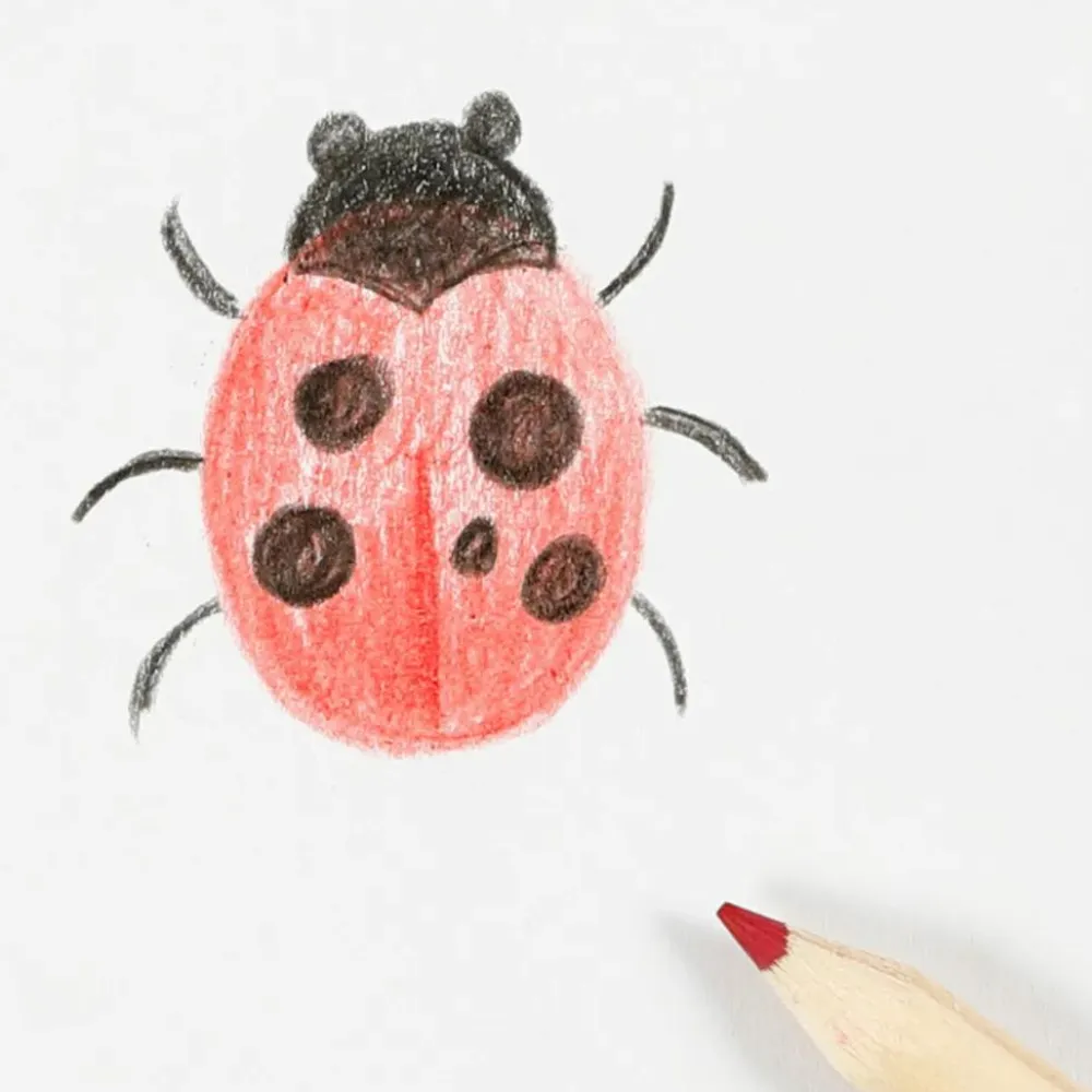 Discount Creativ Company Tegn insekter