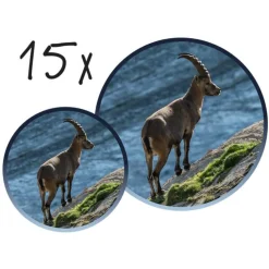 Sale Navir Teleskopkikkert - Explorer (ass.)