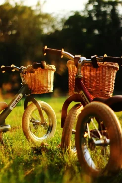 Sale Trybike Tilbehør - Cykelkurv i flet