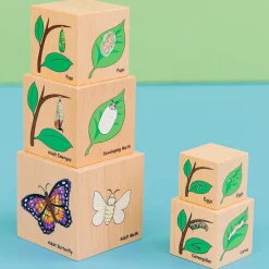 Hot Træklodser - Livscyklusser