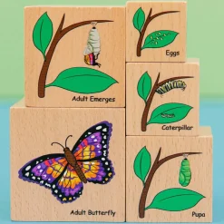 Hot Træklodser - Livscyklusser