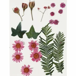 Sale Creativ Company Tørrede blomster/blade - Lyserød, 19 ass.