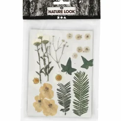 Sale Creativ Company Tørrede blomster/blade - Råhvid, 19 ass.