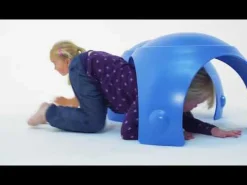 Gonge Tumlekube Koala