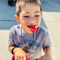 Tyggesmykke, Sabeltand - Hård