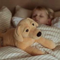 Outlet byASTRUP Tyngdedyr - Hund 2,2 kg