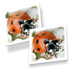 New Tactic Vendespil - Insekter